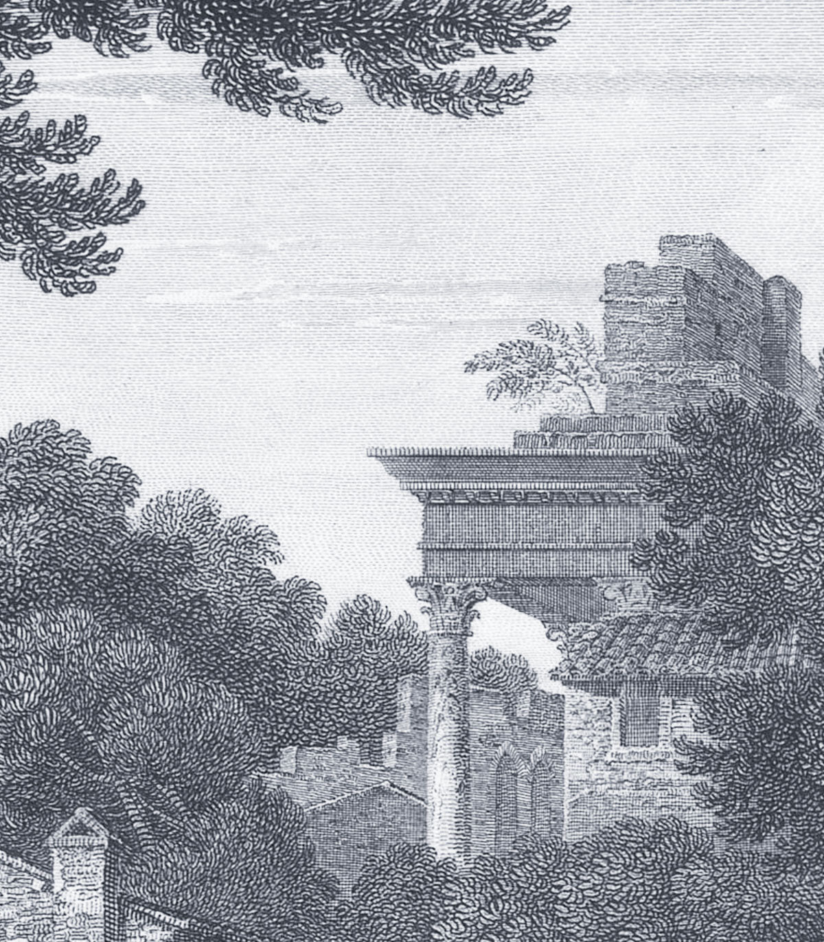 Tapeta Ancient Riverside Grove Blue