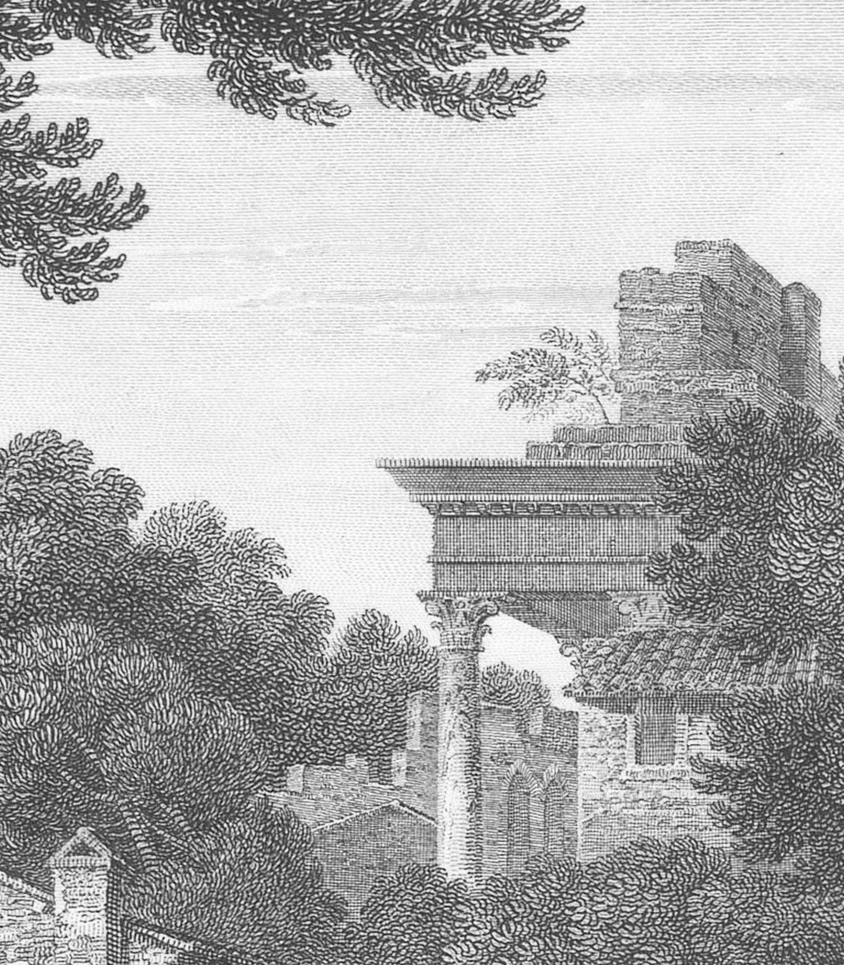 Tapeta Ancient Riverside Grove