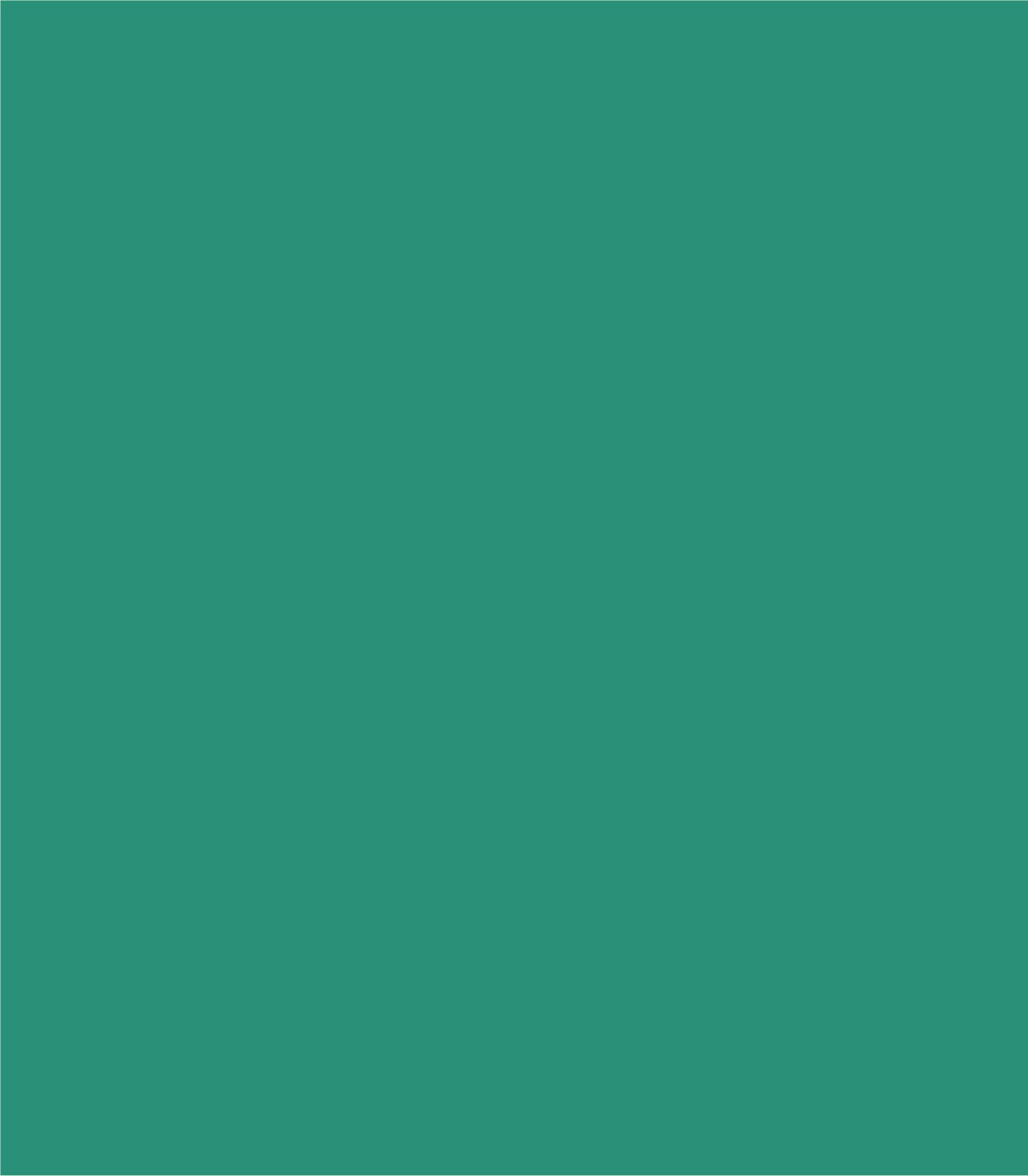 Arch Solid Bold Accents - Wallcolors®