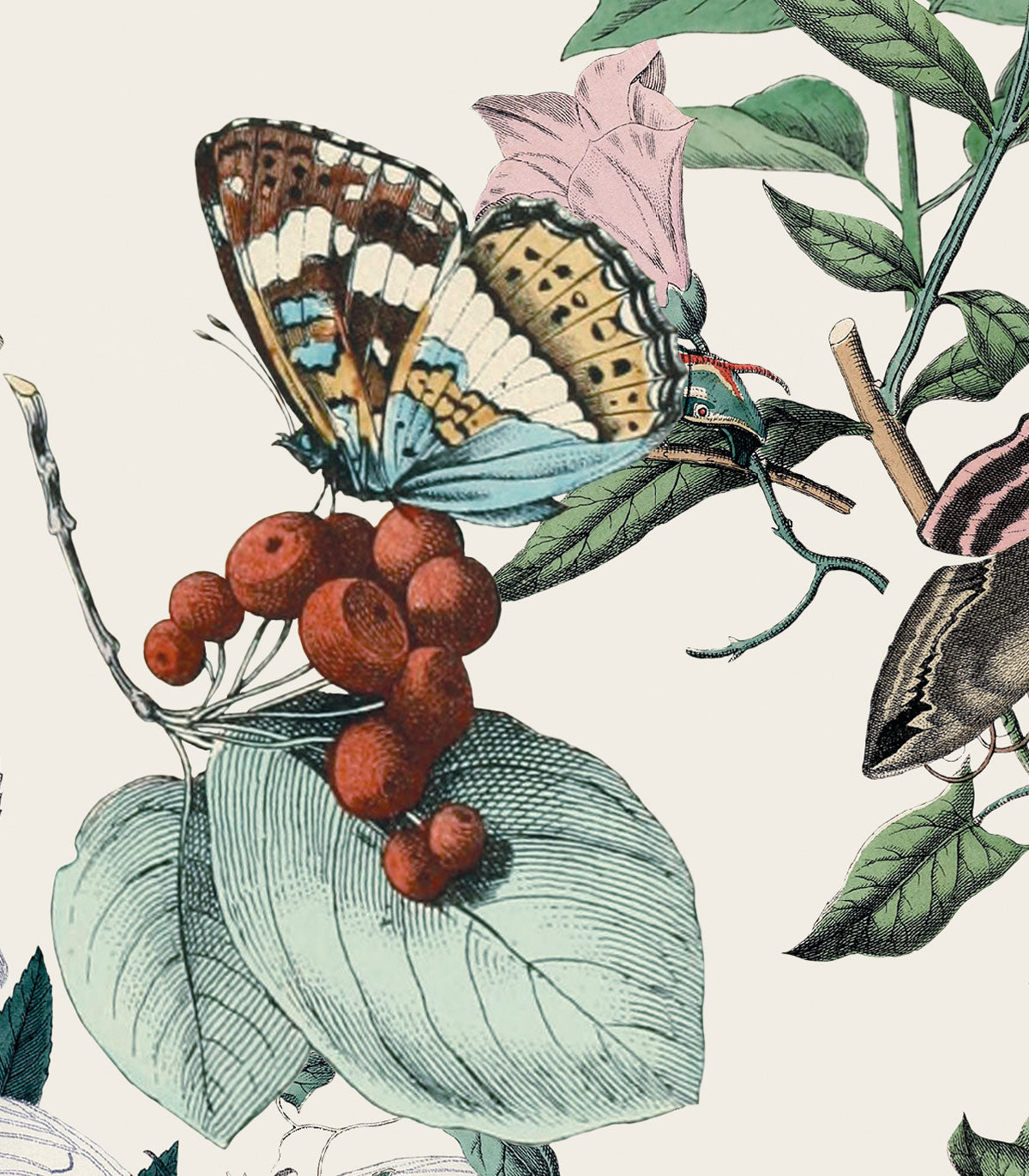 Tapeta Butterfly Rowan