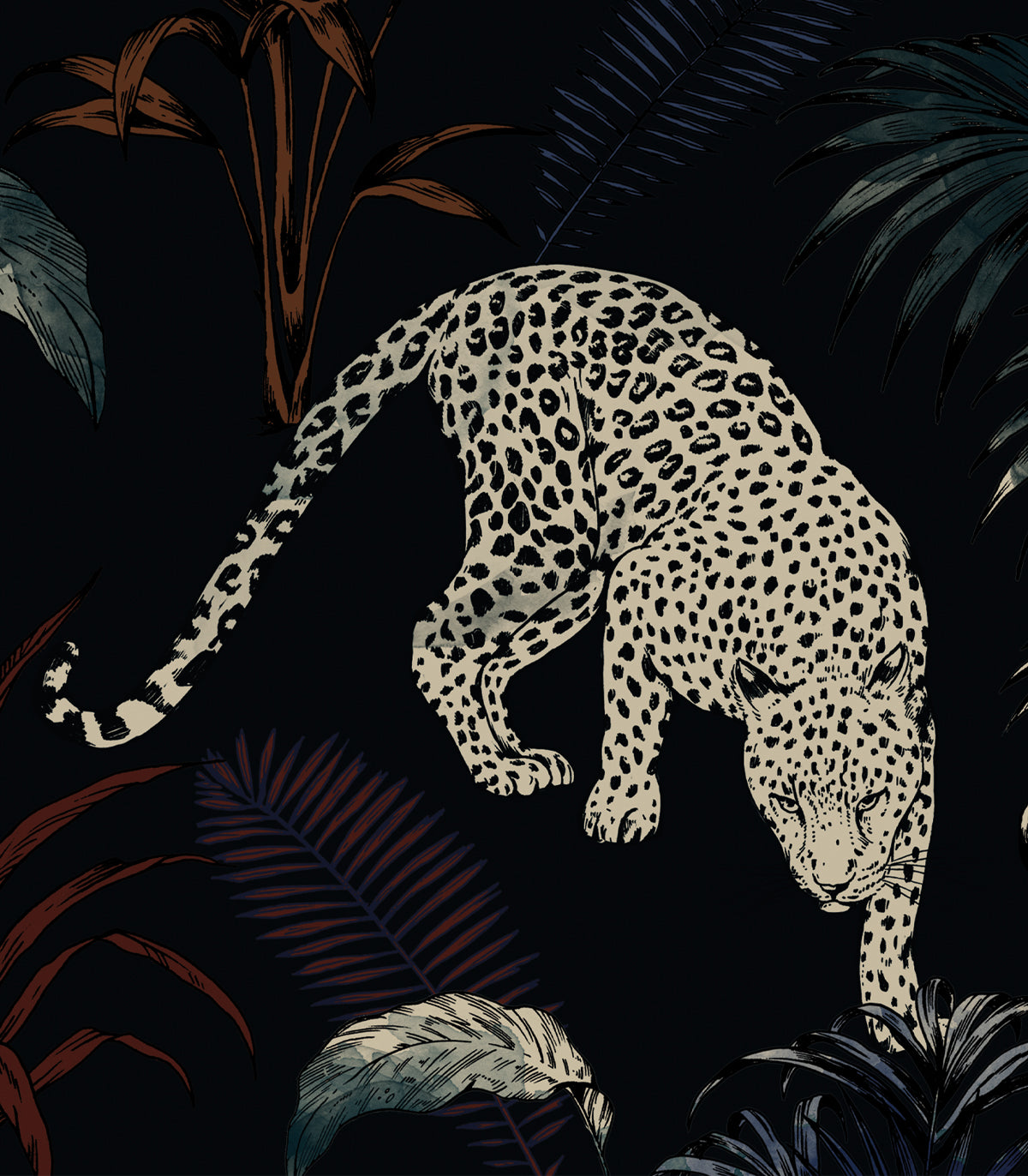 Tapeta Cheetahs Black