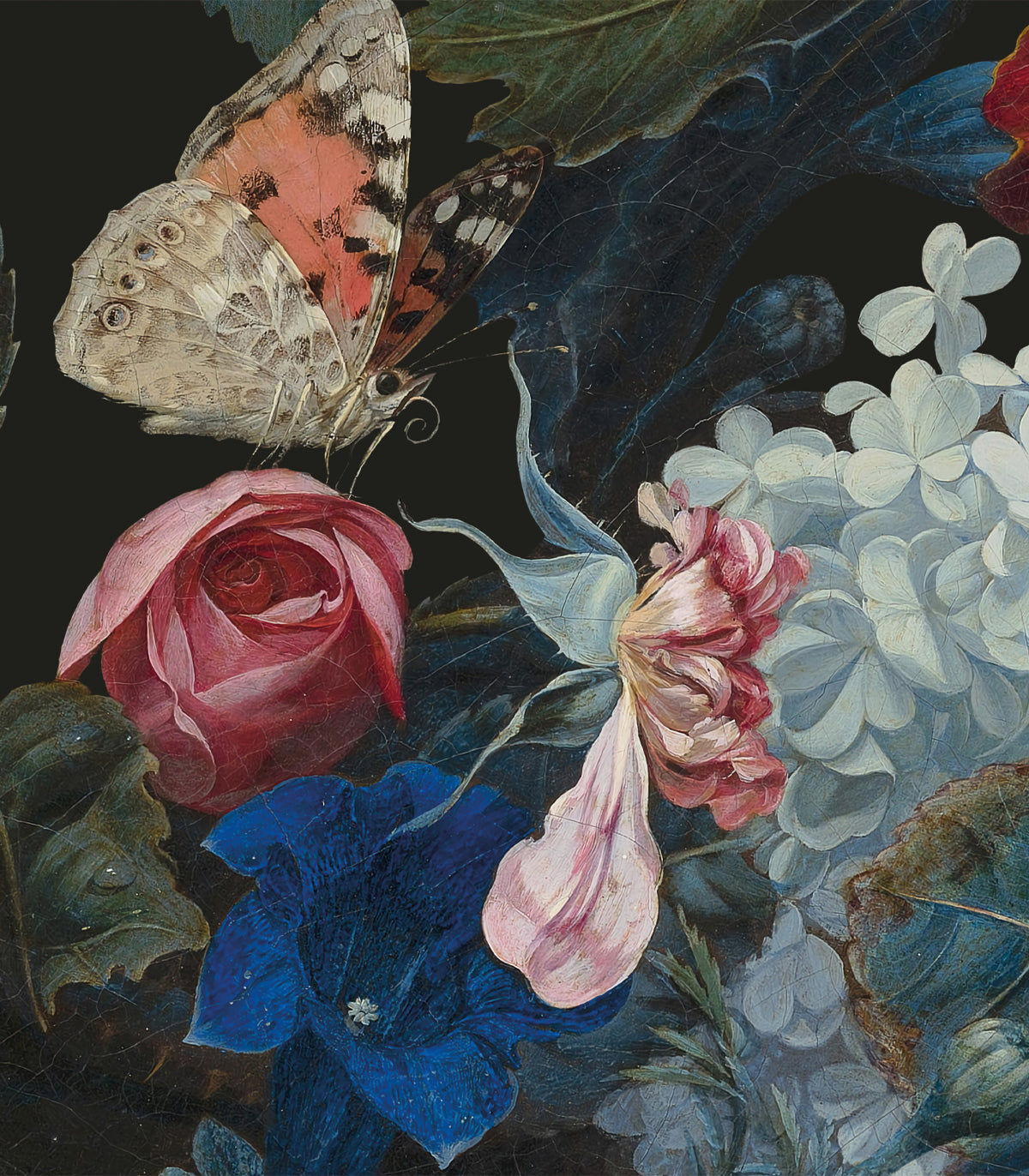 Tapeta Dragonfly Garden