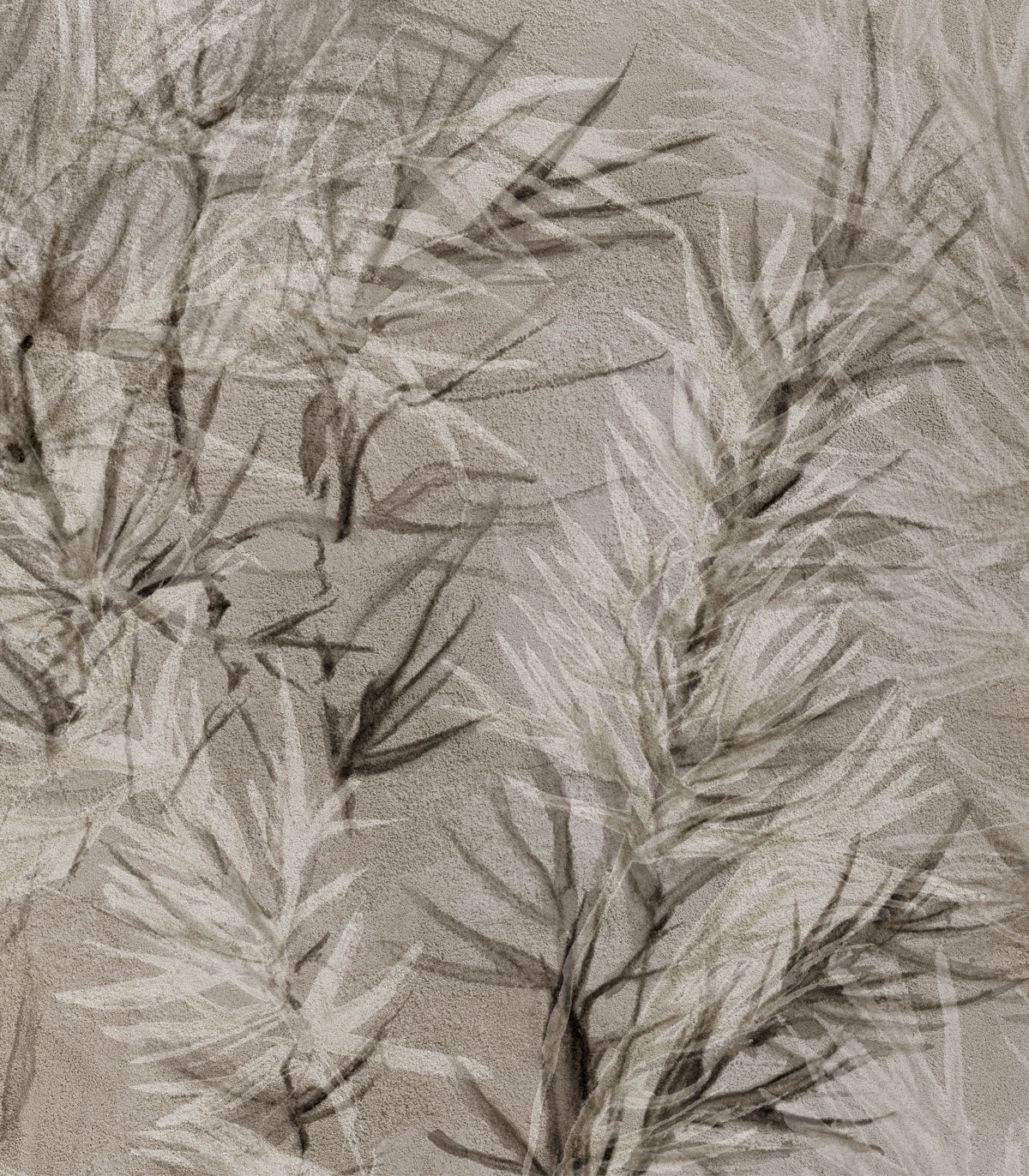 Tapeta Dry grass grey