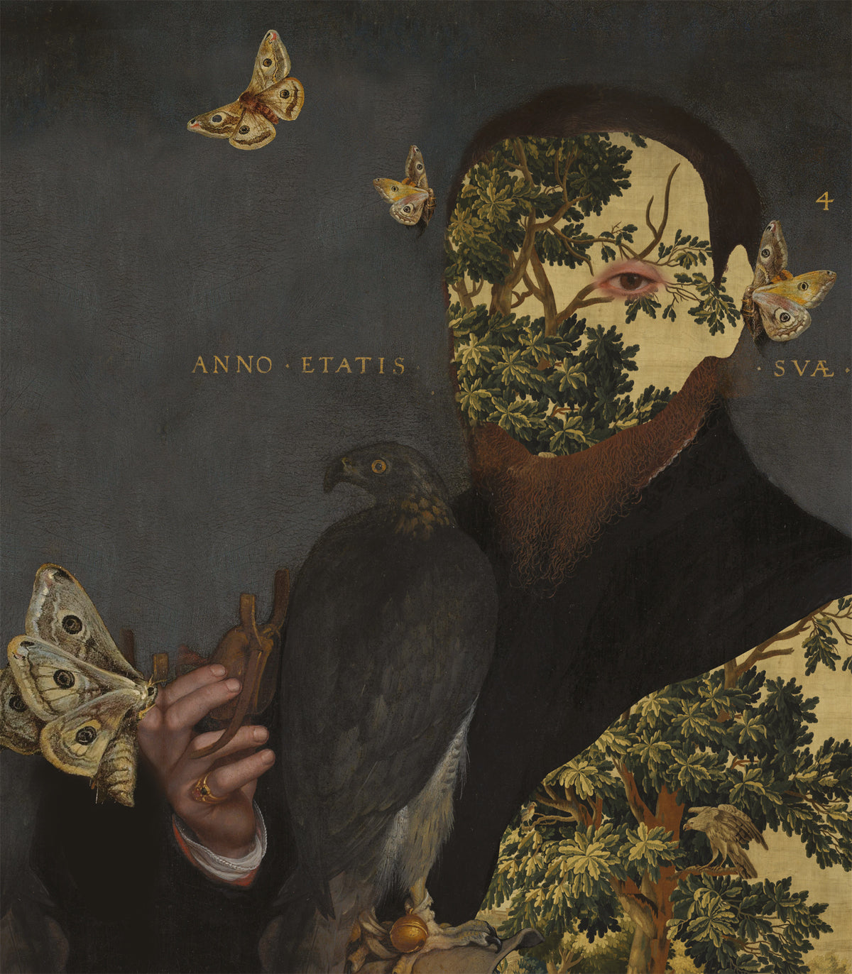 Tapeta Gentleman Moth