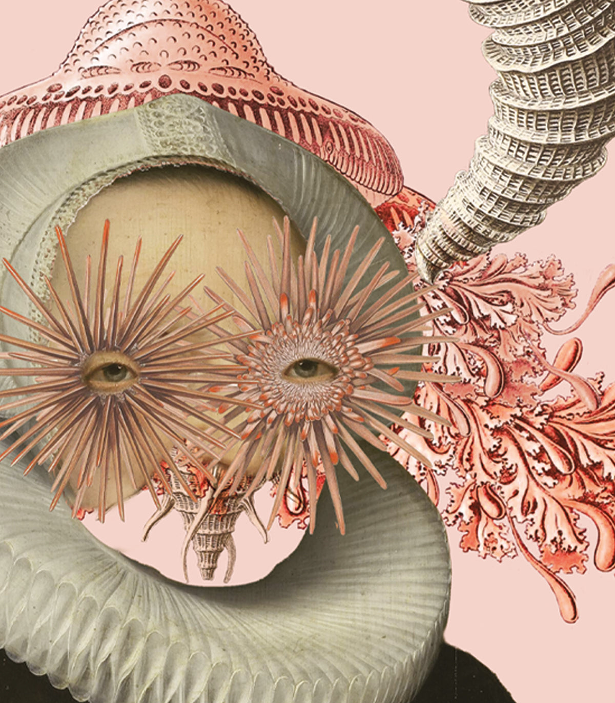 Dots Lady Medusa Pink