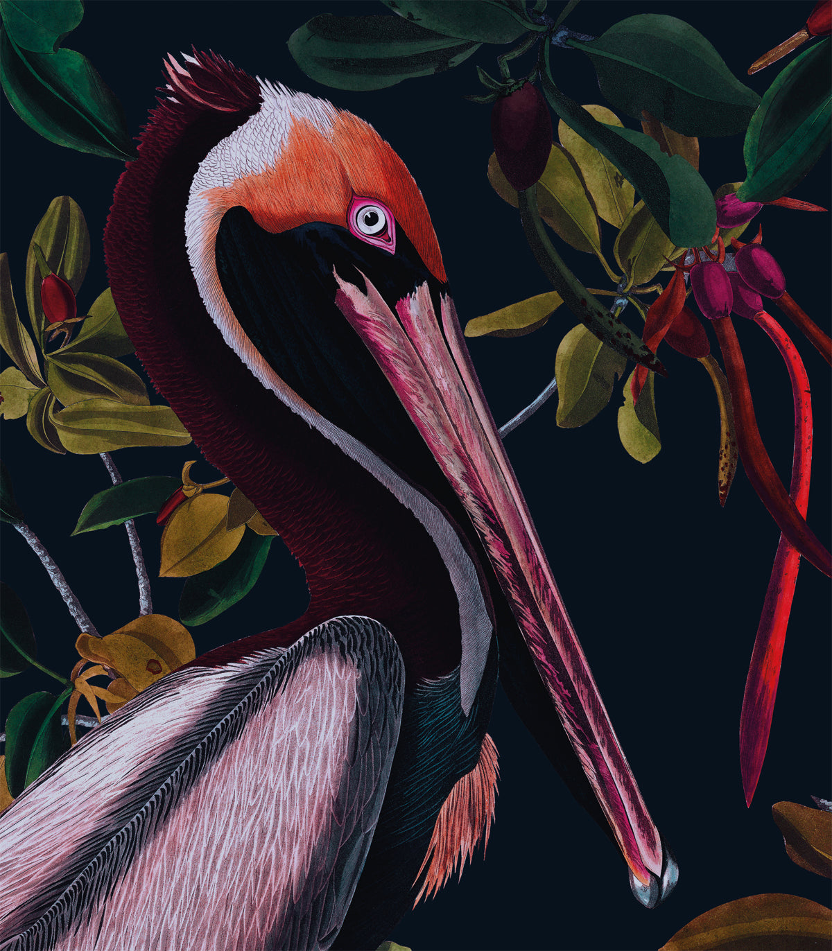 Tapeta Night Pelicans