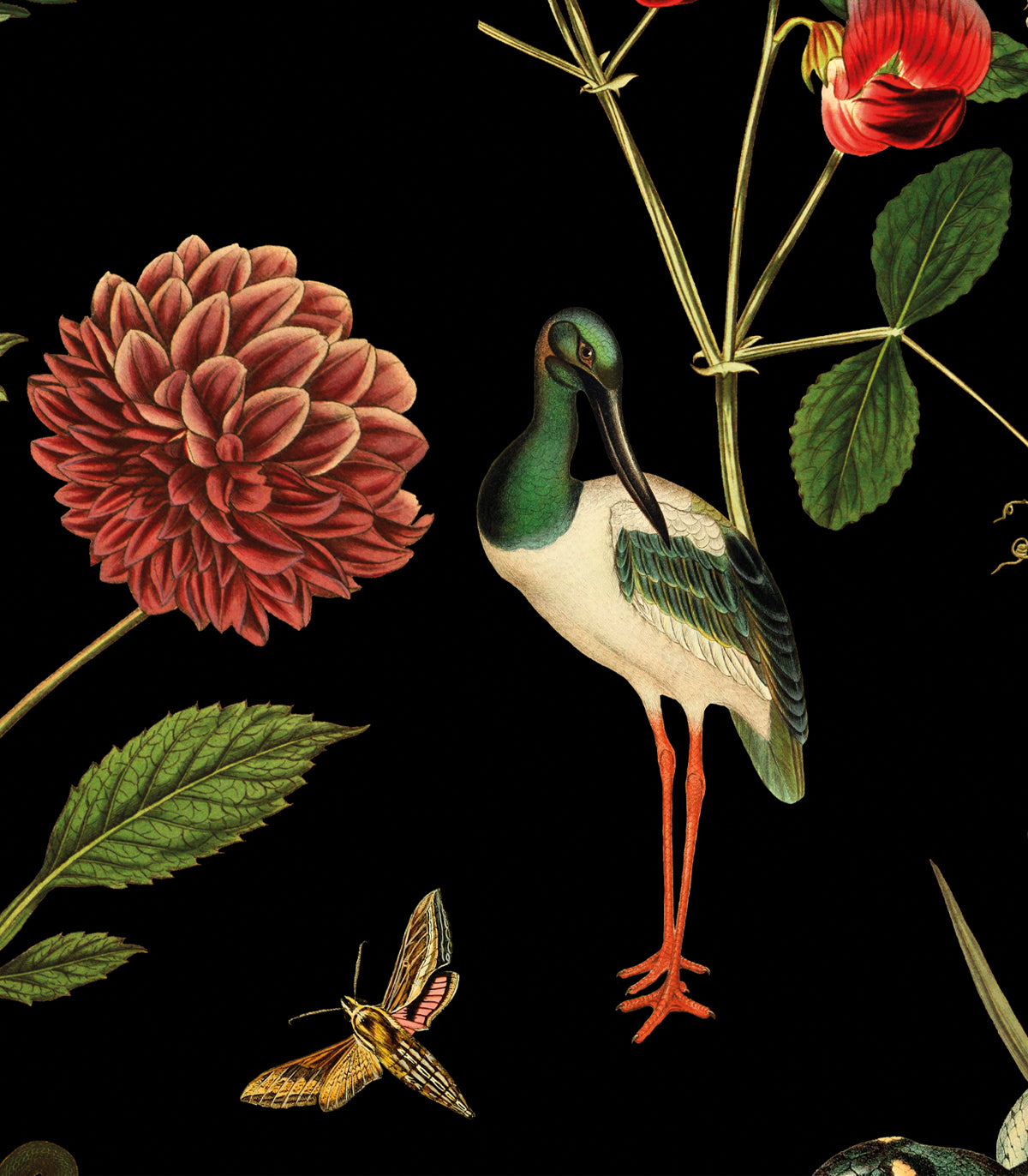 Tapeta Secret Garden