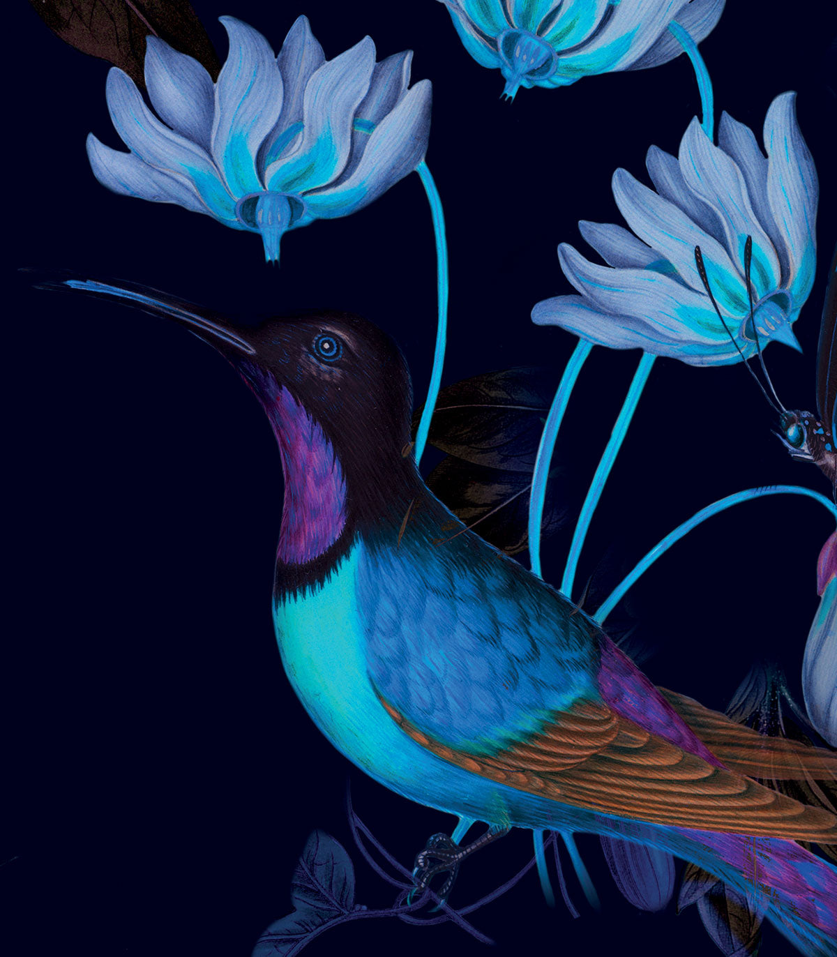 Tapeta Toxic Hummingbirds