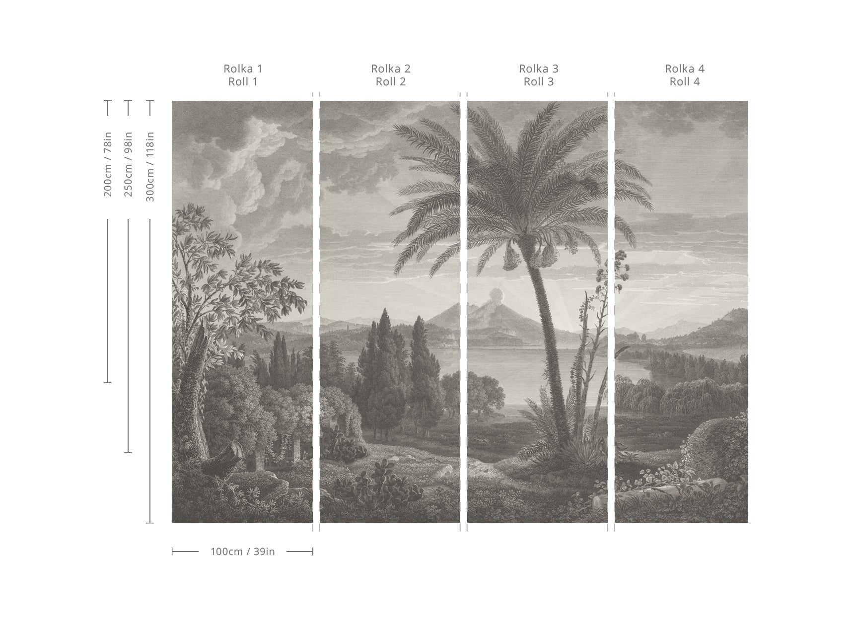 Wallpaper Tropical Volcano Vista