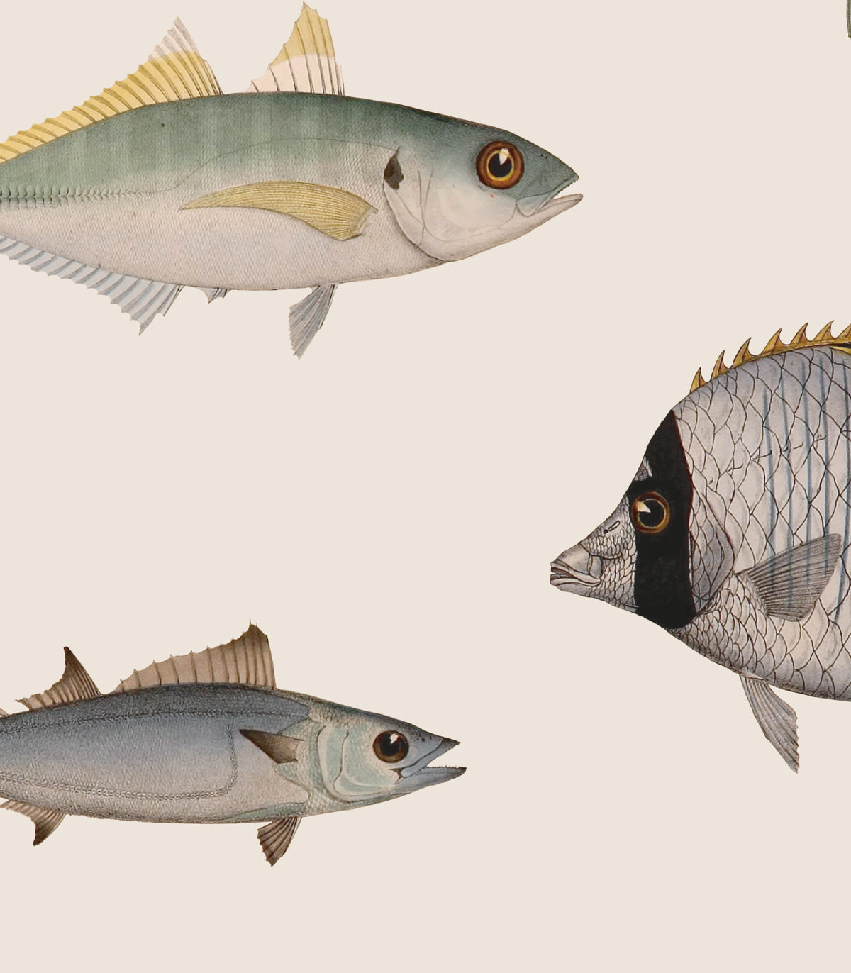 Tapeta Under the Sea Beige