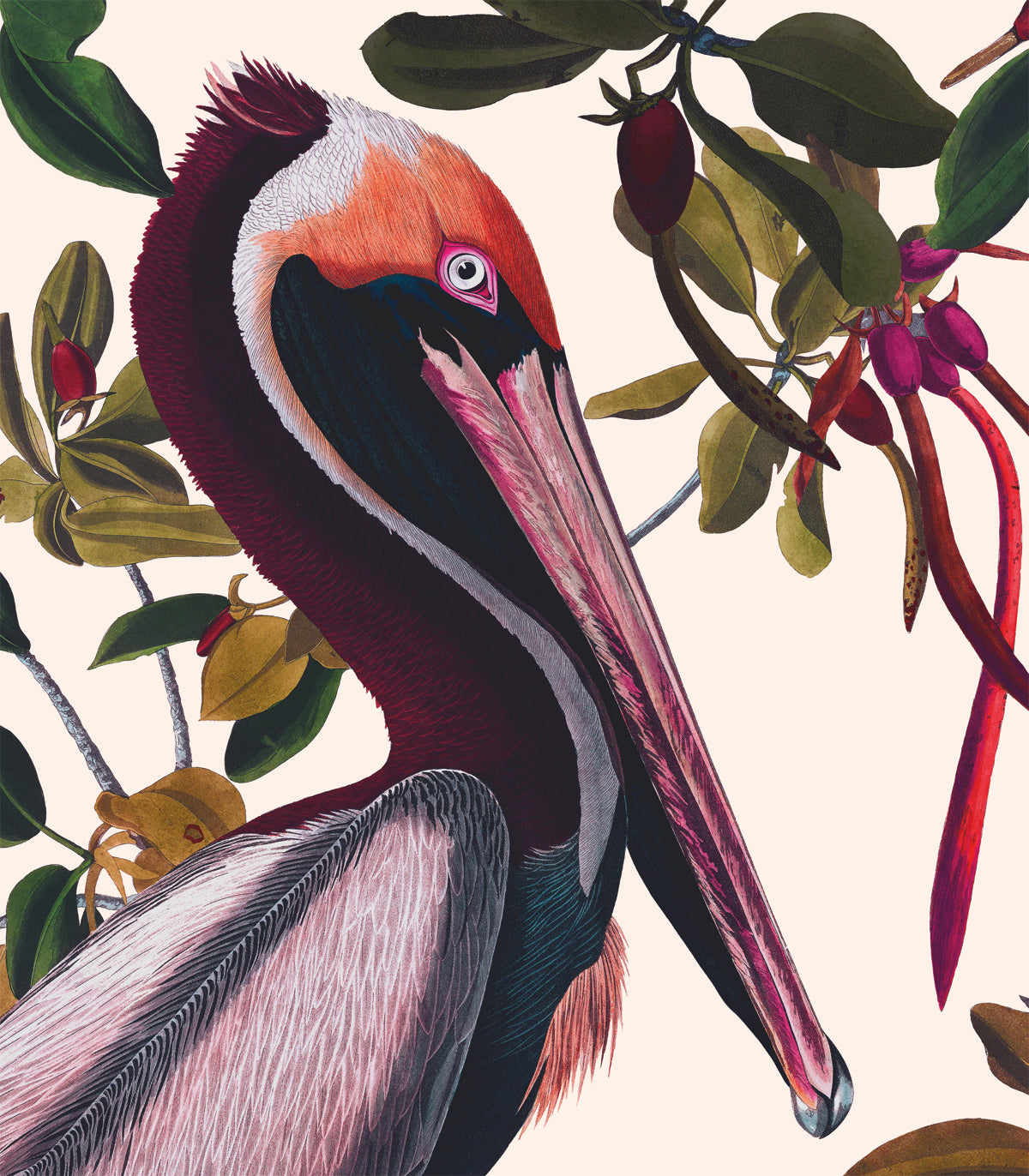 Tapeta Vintage Pelicans