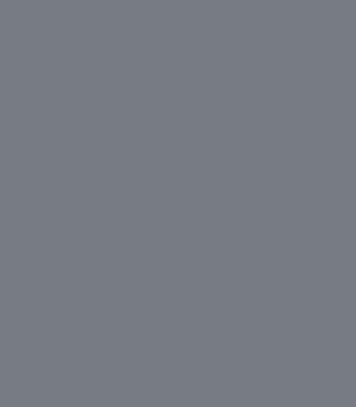 Silver Streak 2119 - 40 - Wallcolors®