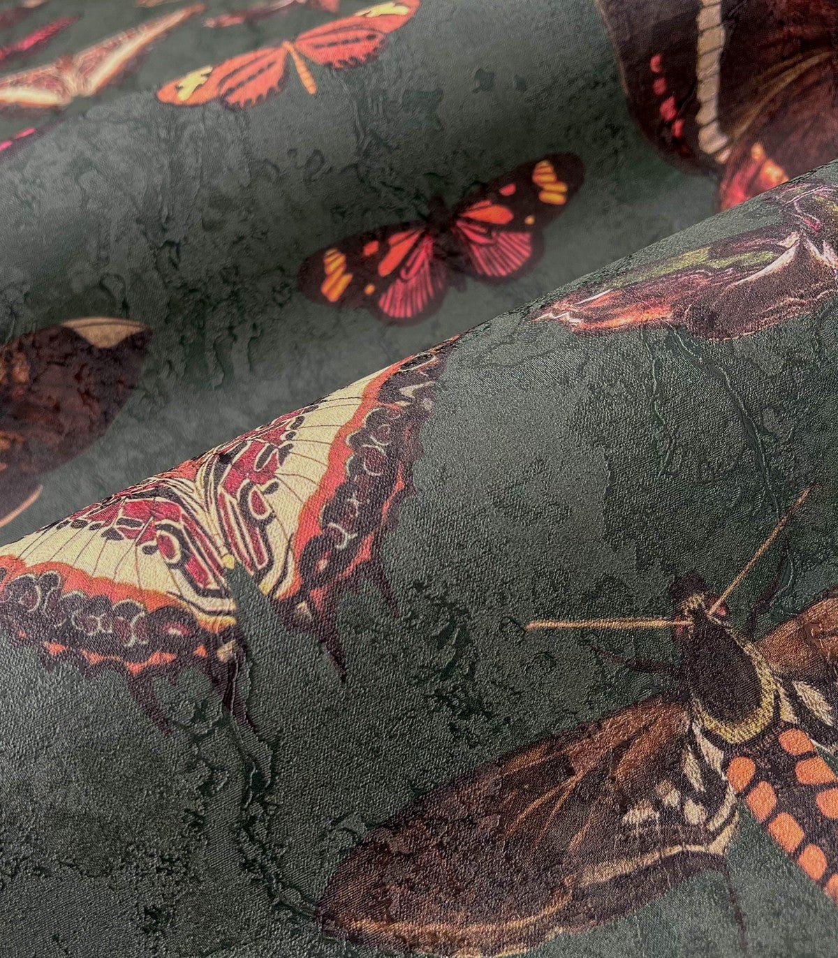 Tapeta Butterflies Vert - Wallcolors®
