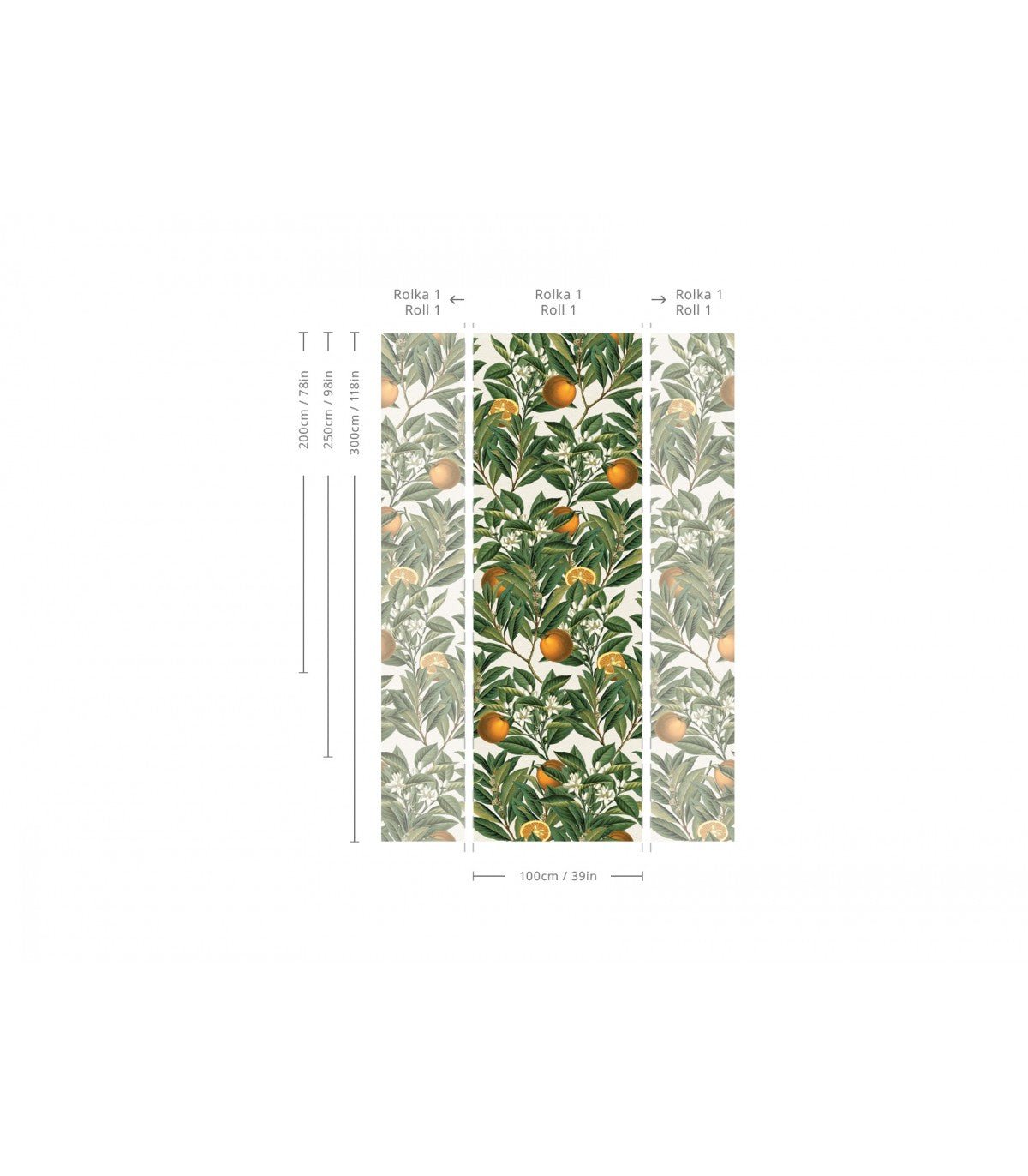 Tapeta Orange Tree - Wallcolors®