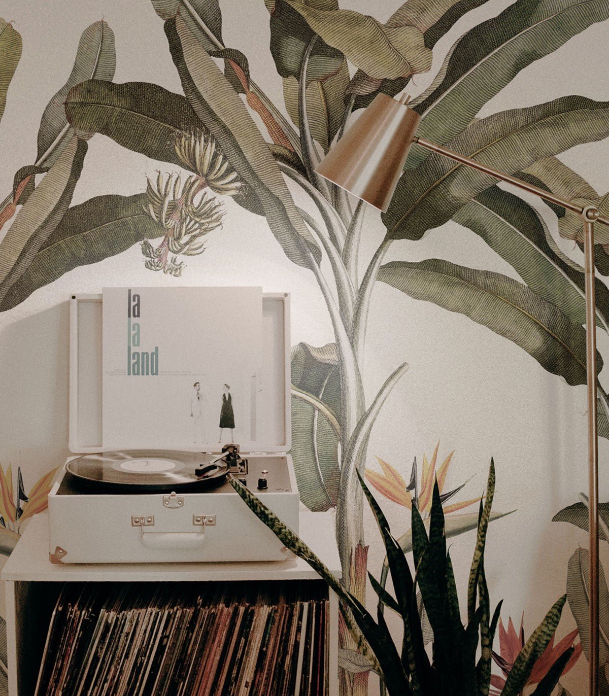 Tapeta Palm Forest - Wallcolors®