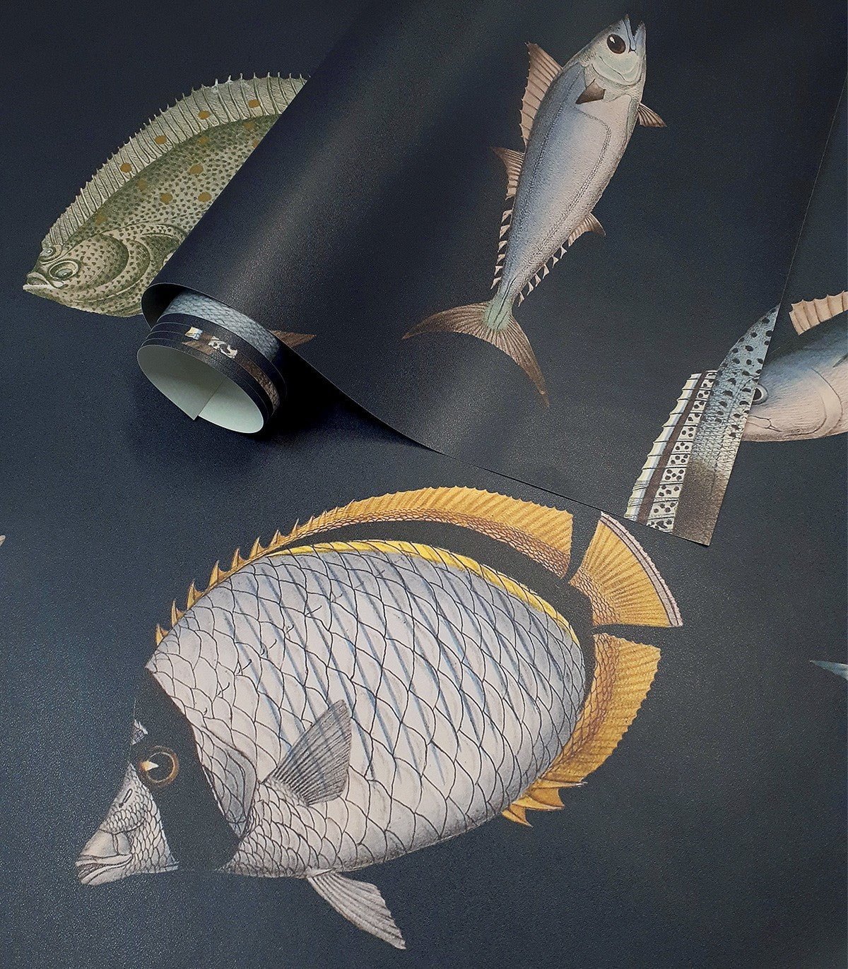 Tapeta Under the Sea - Wallcolors®