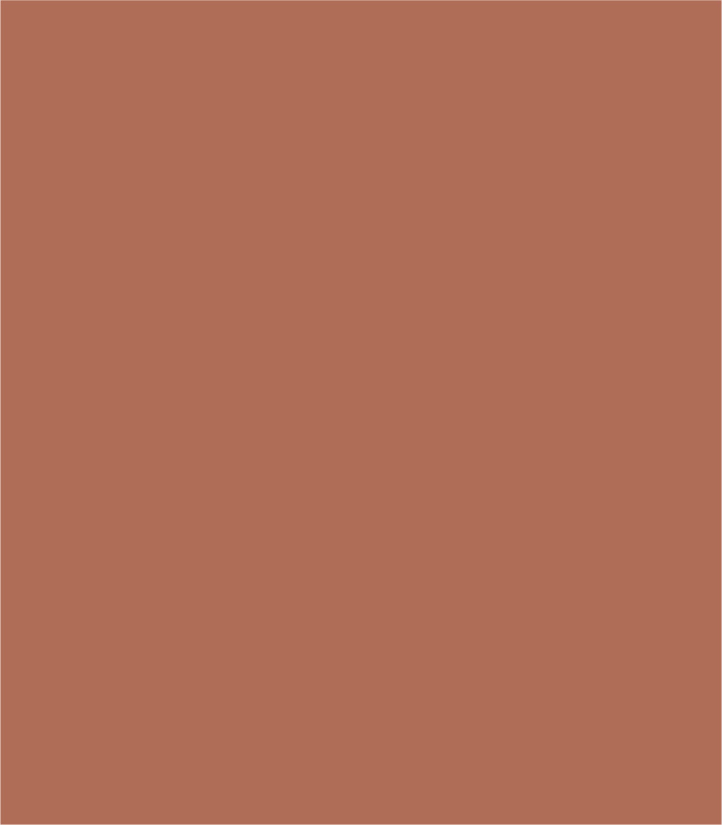 Arch Solid Bold Accents - Wallcolors®