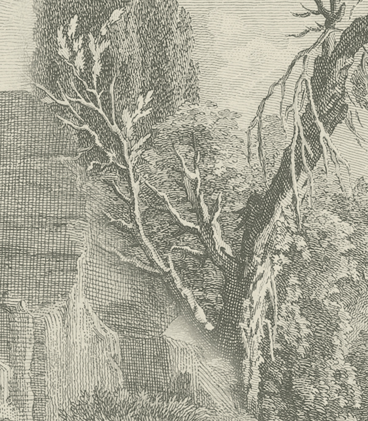 Tapeta Ethereal Valley Green