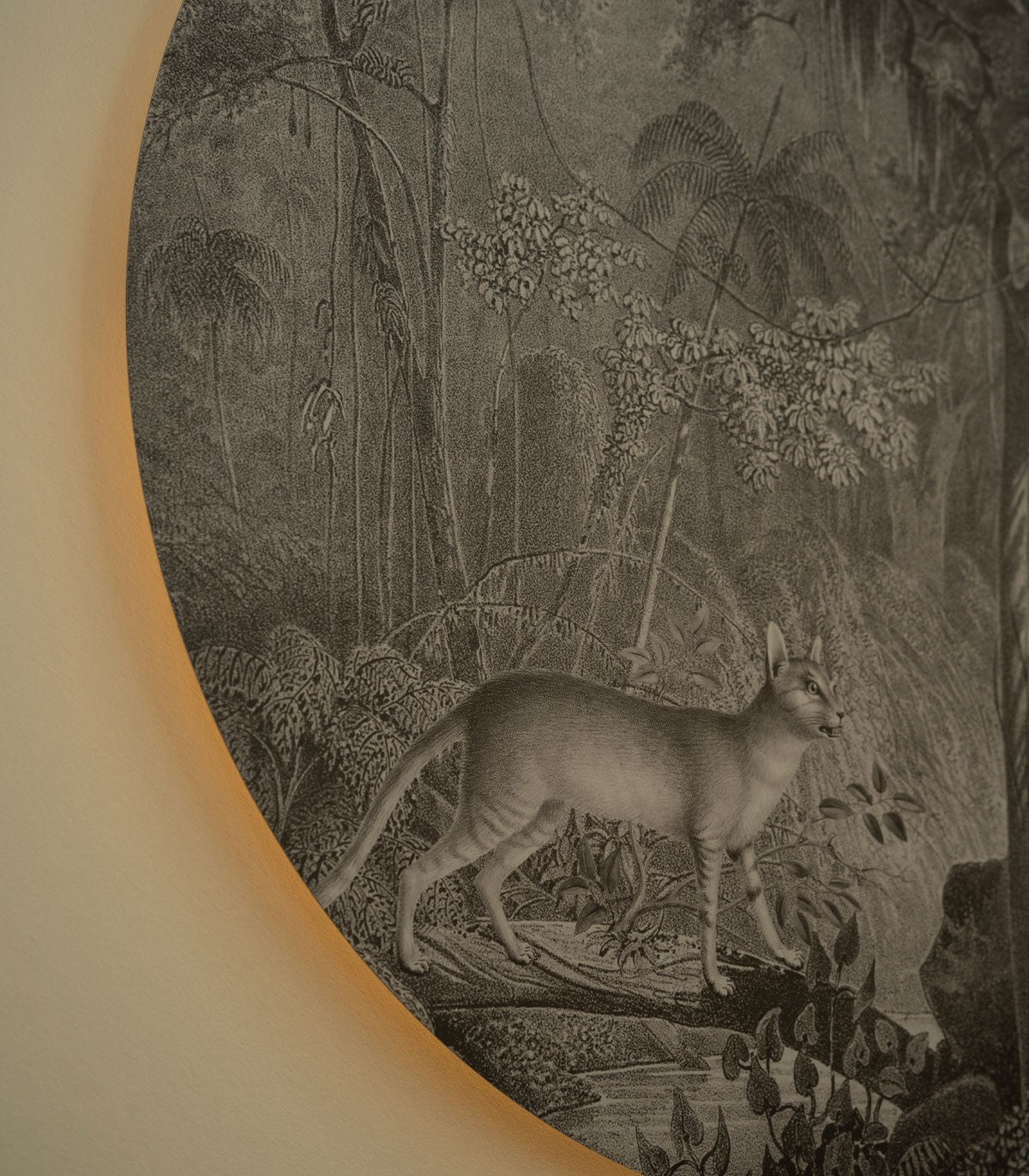 Dots Lighting Jungle Cat - Wallcolors®