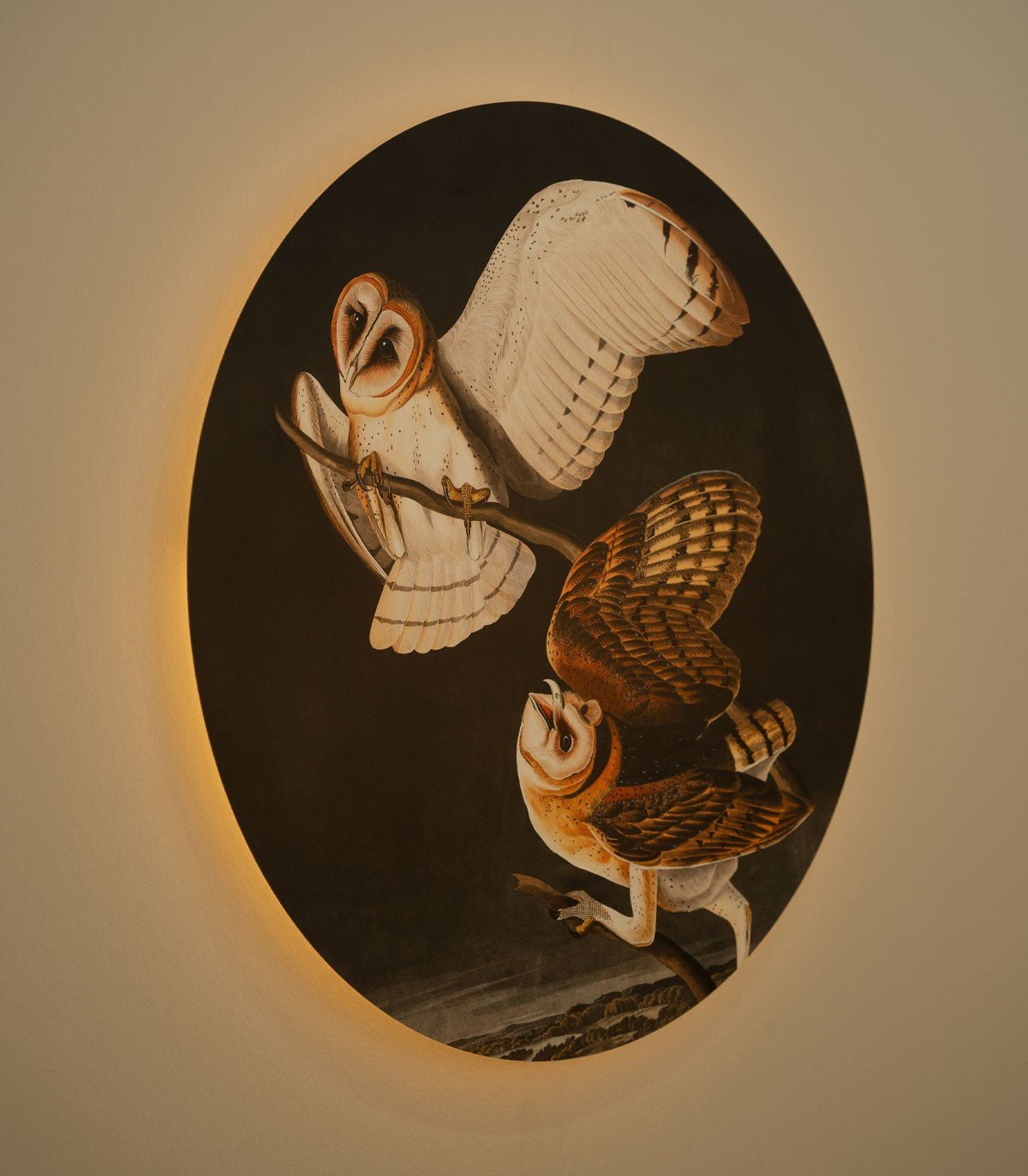 Dots Lighting Owls - Wallcolors®