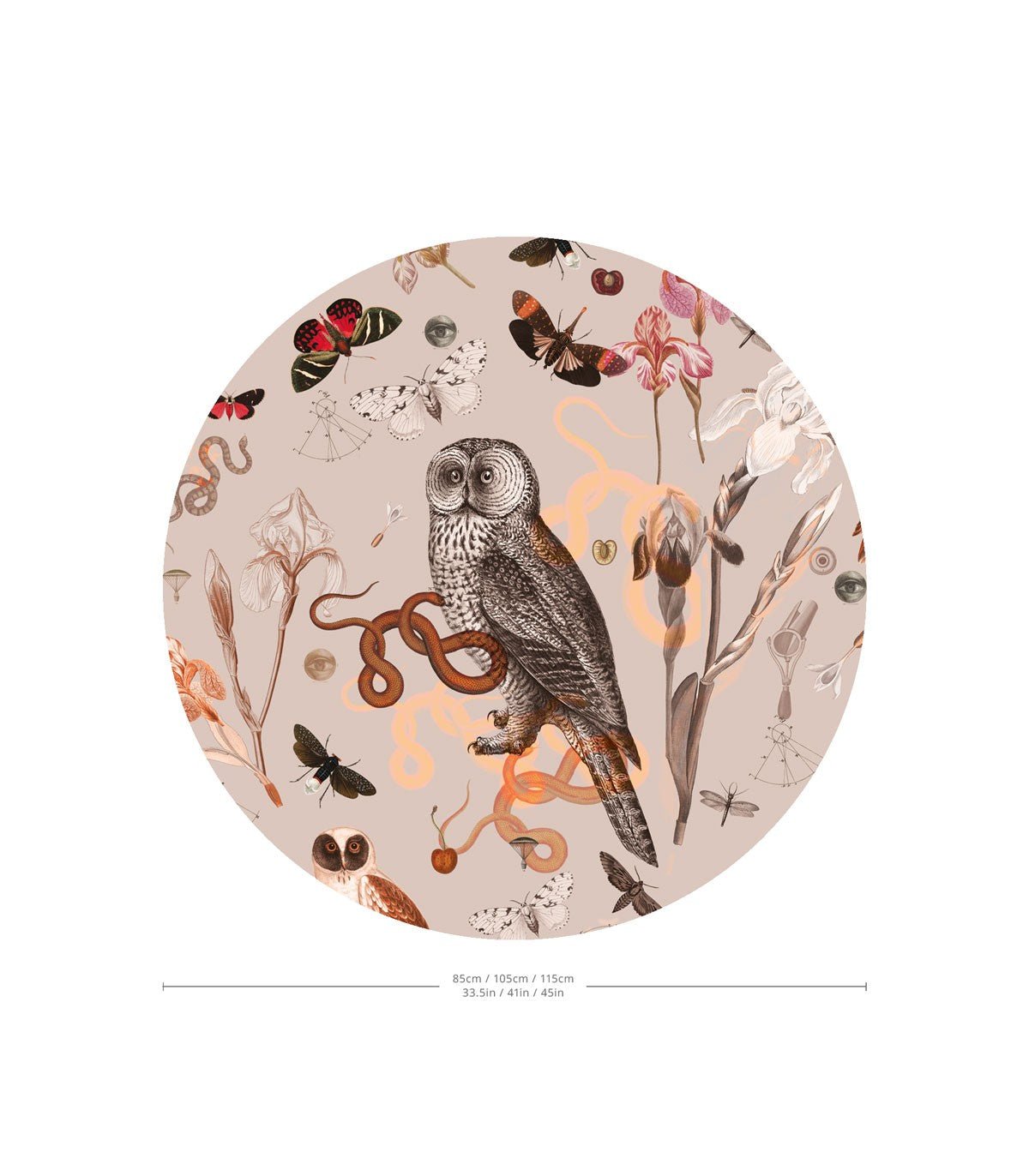 Dots Pink Owls - Wallcolors®