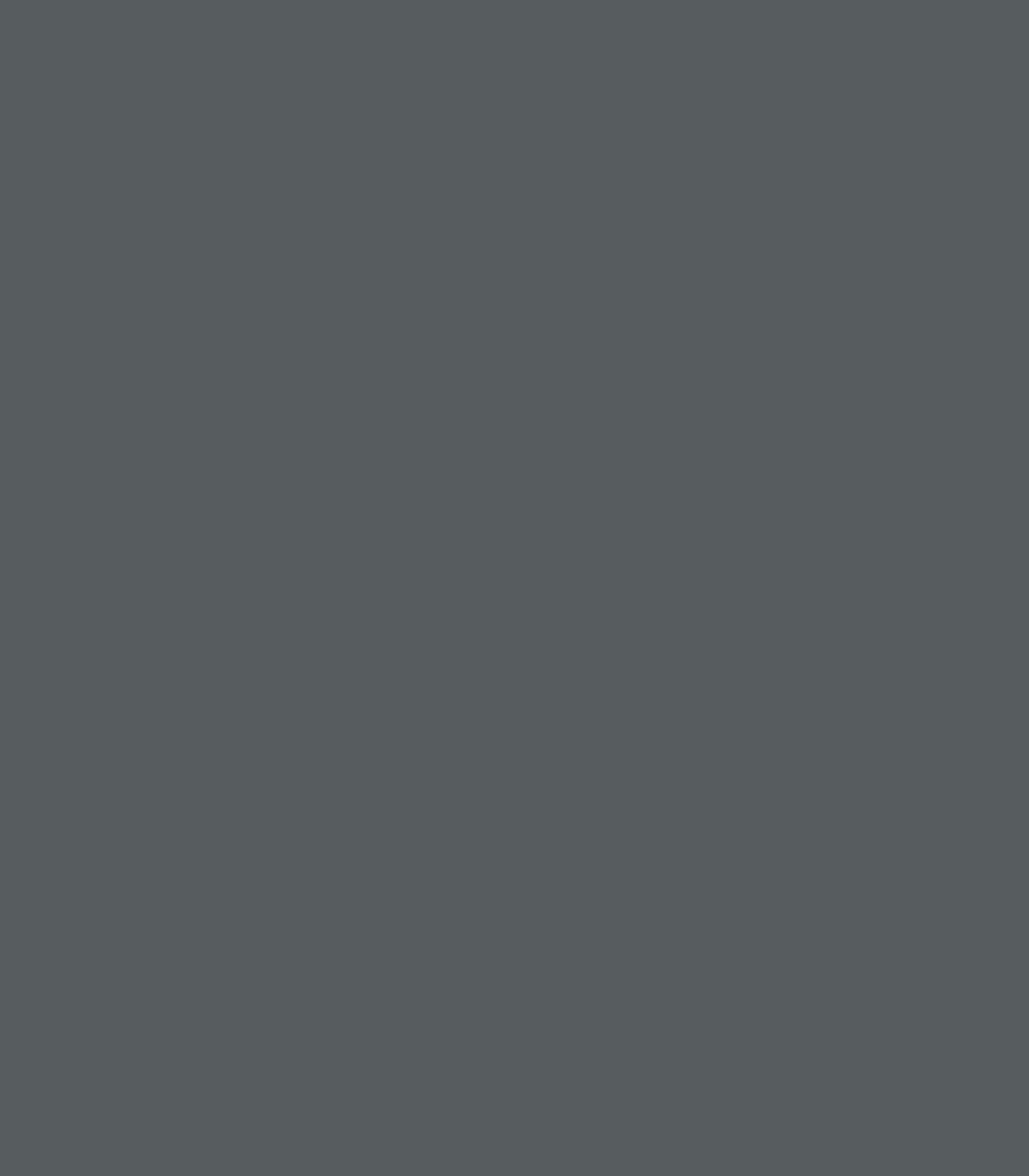 Flint AF - 560 - Wallcolors®