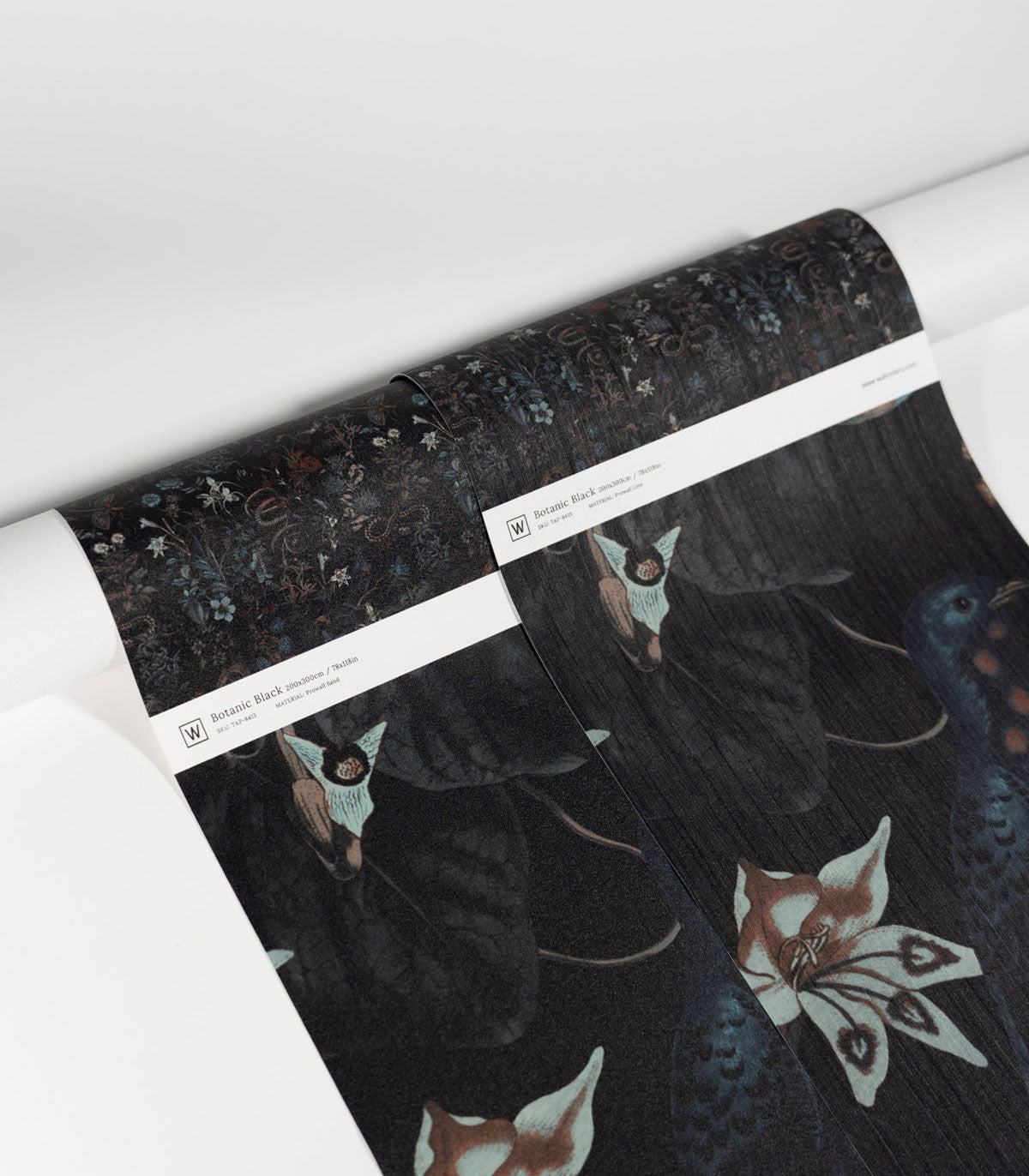 Tapeta Botanic Black