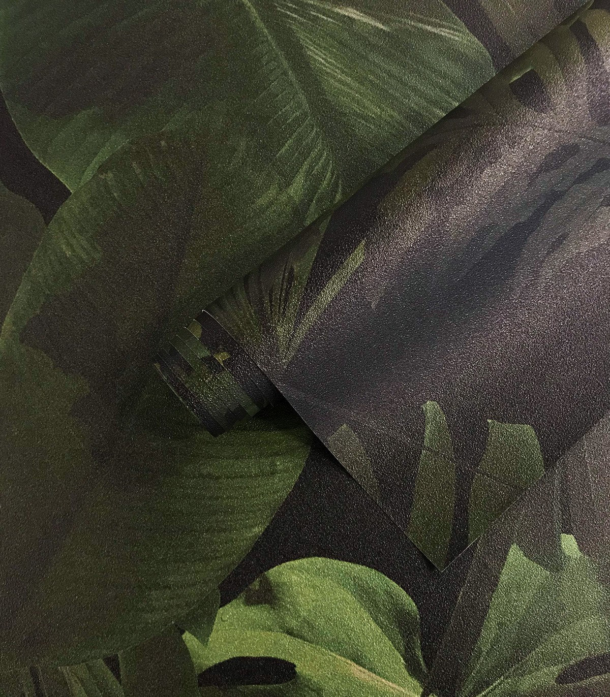Tapeta Tropical Forest Dark - Wallcolors®